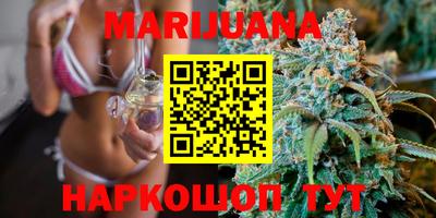 трава Кингисепп