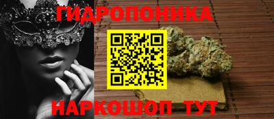 дурь Кимры