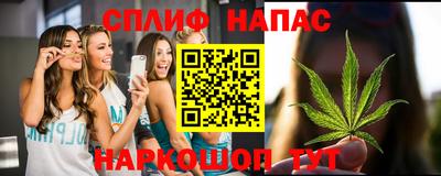 трава Кингисепп