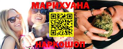 трава Кингисепп