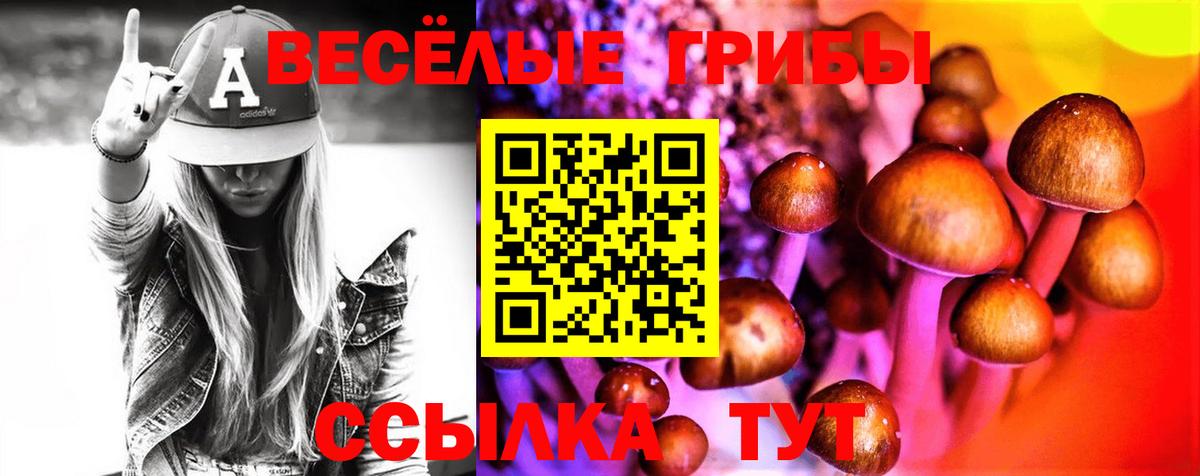 Ковров  Галлюциногенные грибы ЛСД  Вход с VPN  Галлюциногенные грибы ЛСД 
